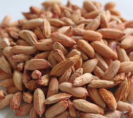 山东小零食工厂有哪些，山东零食厂家