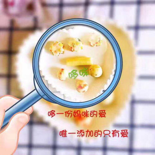 手工婴幼儿辅食代理怎么做