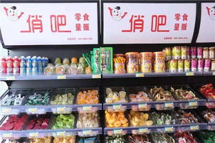 加盟小零食需要多少资金才能做，加盟小零食店 招商加盟