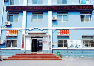 庆云县哪里批发小零食
