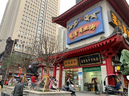 西安龙首村小区周边配套怎么样?