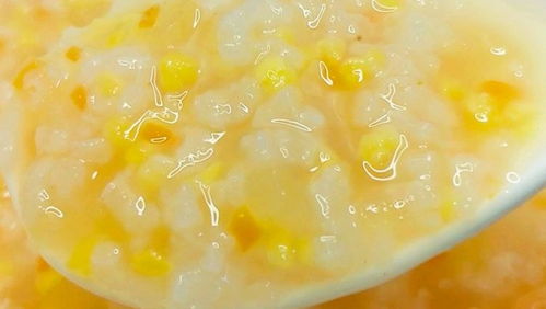 宝宝果蔬粥，宝宝辅食果蔬汁