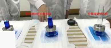 moony皇家系列和Q.mo奇莫淳氧纸尿裤哪个好用?