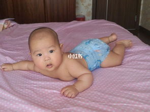 婴儿纸尿裤哪个牌子比较好