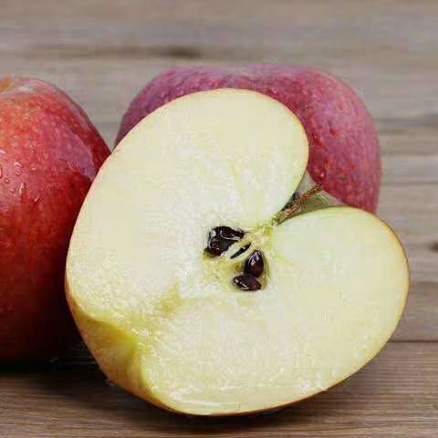 陕西儿童辅食批发市场
