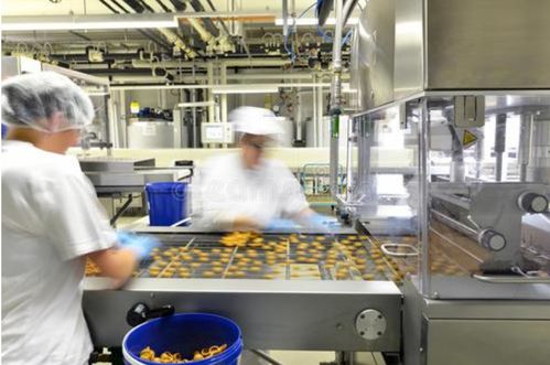 我想开个小型食品加工厂需要准备哪些?