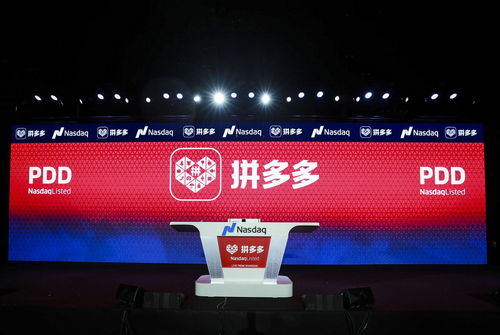 拼多多在哪家招童模