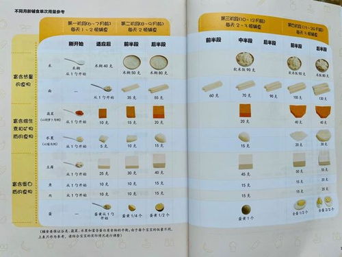 婴儿辅食什么品牌最好?