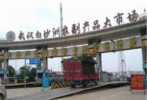 武汉白沙洲附近童装批发
