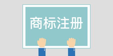 童装品牌注册
