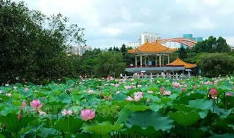 东湖公园童装批发在哪里
