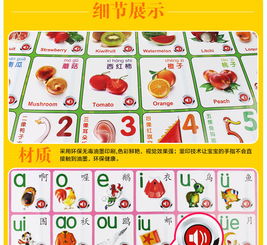 枫枫玩具视频是哪里拍的?