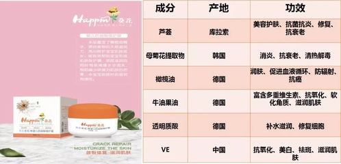 欢乐葵花婴儿洗护
