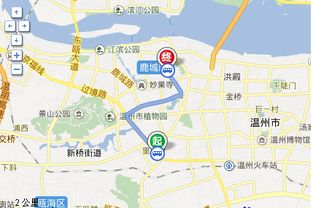 温州铁井栏童装批发
