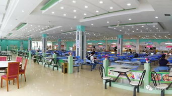 浙江玩具工厂食堂发展
