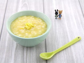 1岁宝宝辅食粥品牌
