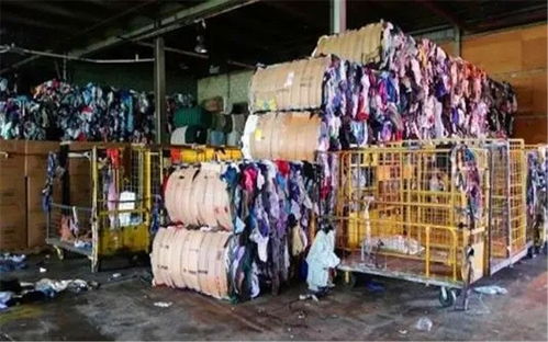广西近几年童装加工厂数量
