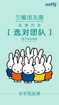 米菲纸尿裤代理价格表
