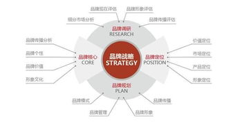 亚马逊早教玩具的市场现状?