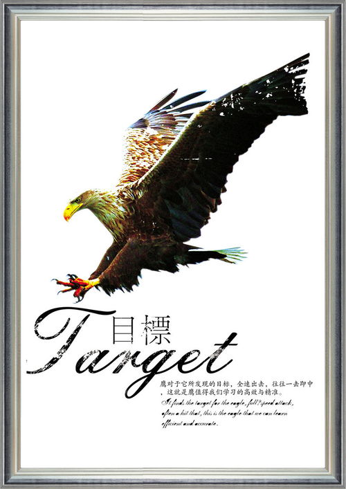 玩具老鹰批发
