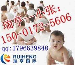 上海浦东新区纸尿裤批发
