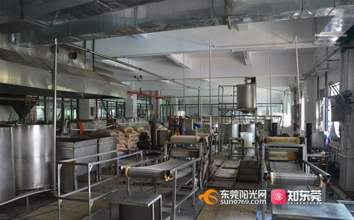 小零食加工厂制造过程
