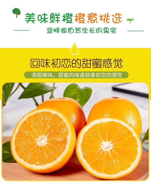 从山西临汾到浙江湖州市织里童装批发市场