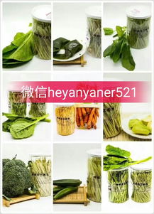 想买个辅食锅送朋友,有什么要注意的吗?迪迪尼卡、帝伯朗、苏泊尔这几个