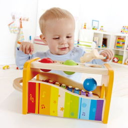 婴幼儿玩具品牌
