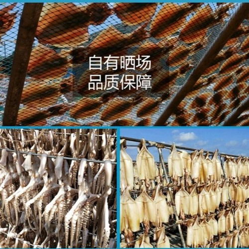 鱿鱼丝是真的鱿鱼做的吗