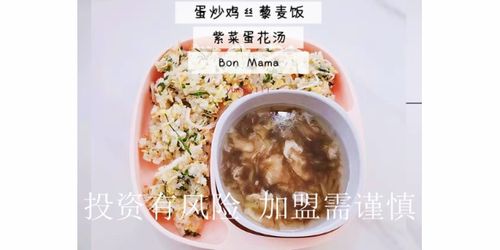 丸子家高端儿童辅食加盟
