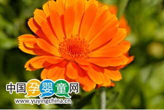 婴儿洗发水用什么好的啊,有什么好的牌子推荐啊?