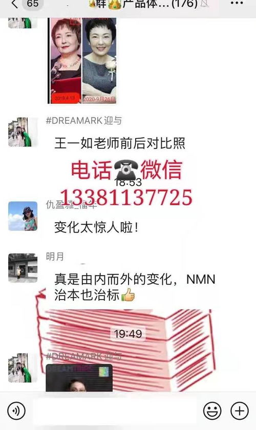 绍兴蓓趣纸尿裤代理价格
