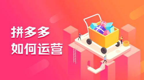 拼多多的货源一般在哪里进货的