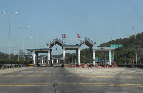 广东辅食批发
