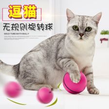 猫咪按键玩具品牌
