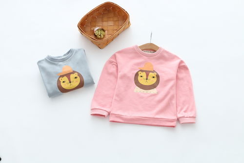 ed是几线品牌