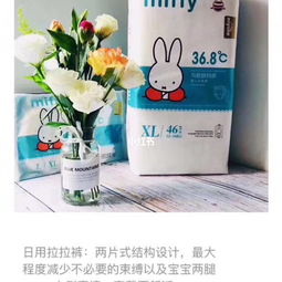 大熊与小兔纸尿裤怎么代理